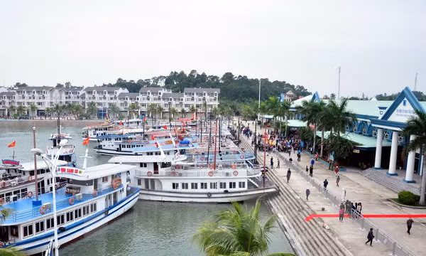 Part of the Tuan Chau International Port. Photo by Vietnam News Agency