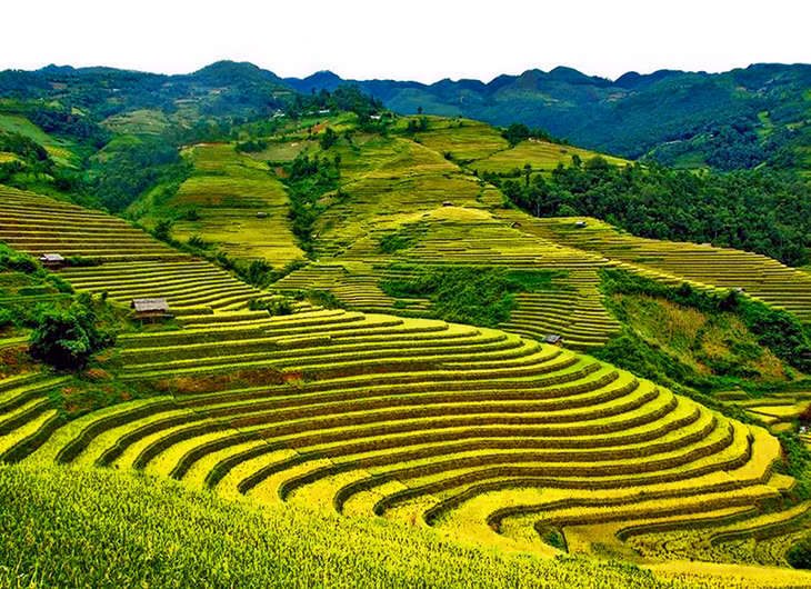 Binh Lieu district, a Sa Pa in miniature with terraced fields.