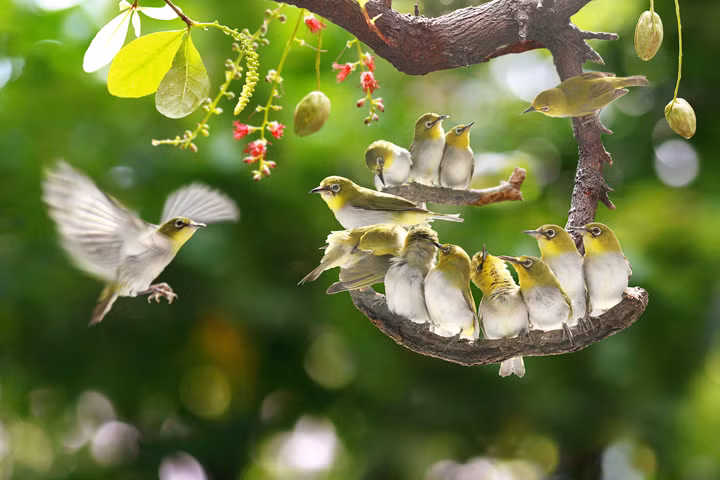 Bach Ngoc Tu's photo 