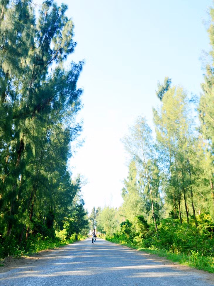 The best way to explore Ngoc Vung island commune is cycling on small roads around the island