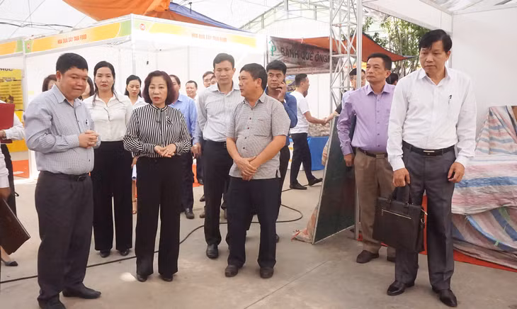 Quang Ninh's Vice-chairwoman checks preparations for Ha Long World Circus Festival 2019 