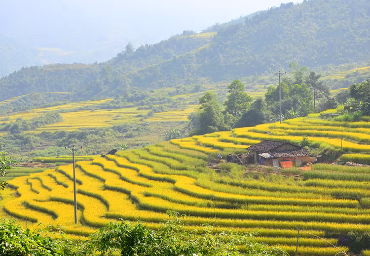 Breathtaking scenery in autumn in Luc Hon Village, Binh Lieu District