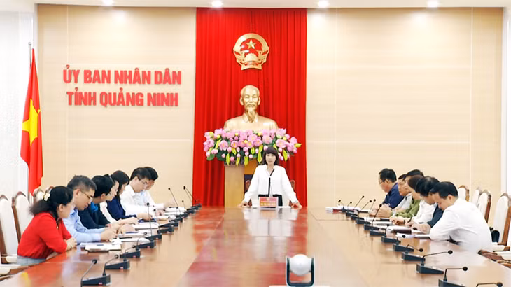 Techfest Vietnam 2019 is planned to be held in Quang Ninh from December 4-6.