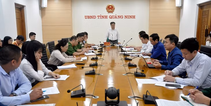 Quang Ninh's Vice-chairman presided over the meeting 