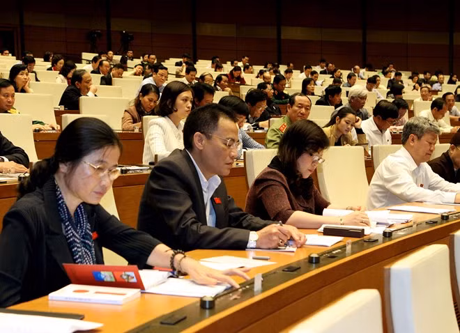NA deputies (Photo: VNA)