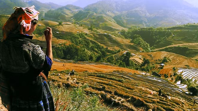 The Vietnam National Administration of tourism contracted with marketing experts to produce the clip and specifically tailor it to the UK market. 