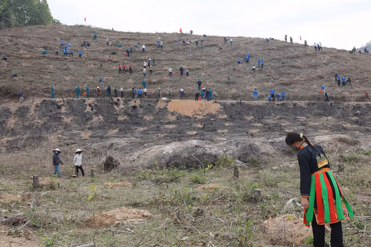Nearly 500 officials, soliders and locals together planted approximately 8,500 green trees of various kinds.