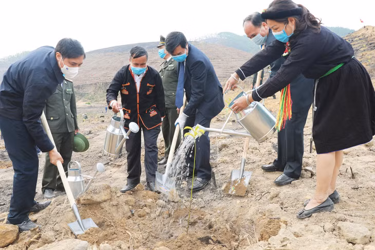 Chairman Nguyen Tuong Van and leaders of Ha Long city planted trees at the ceremony.