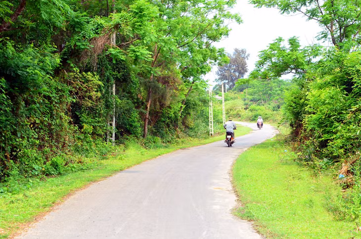 With its convenient trafic system, you can take various vehicles to explore the island