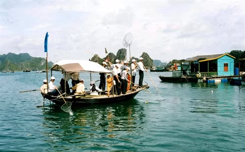 Hạ Long Bay Management Board workers collect rubbish on the bay, as part of efforts to limit pollution. – VNA/VNS Photo Nguyễn Đán