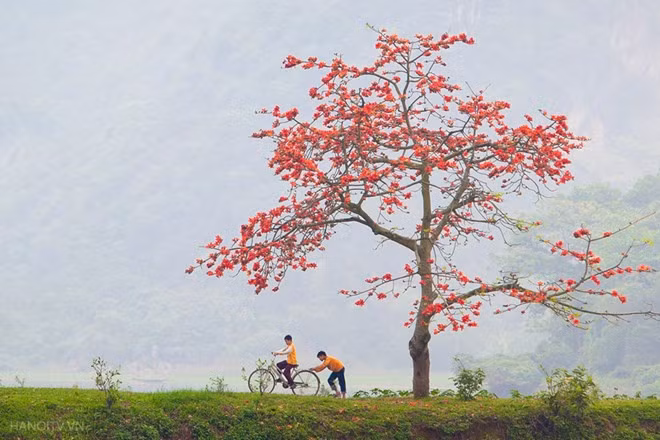 Carefree summer days pedaling to school
