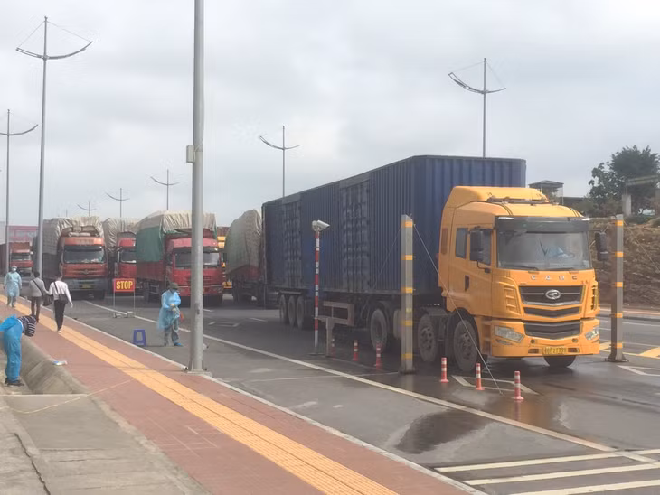 Import activities via BAc Luan Bridge No.2
