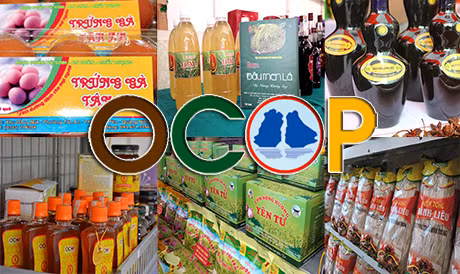 Quang Ninh will develop the “One Commune, One Product” (OCOP) programme into an important economic development scheme, with a focus on agricultural and non-agricultural production. (Photo: Internet)