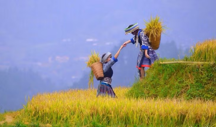 Mu Cang Chai in the Northern Lao Cai Province