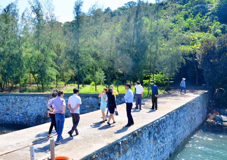 Right at the entrance, visitors can enjoy the fresh cool air of the pristine forest on a good weather day. 