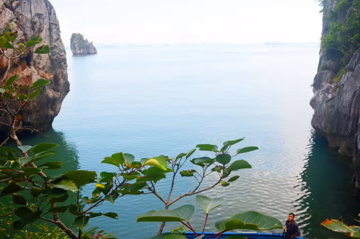 Bai Tu Long Bay owns great potential for tourism development.