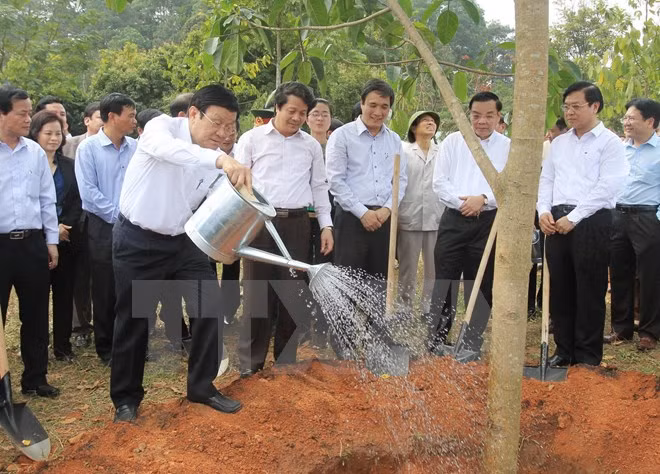 State Presient Truong Tan Sang launched 2015’s tree-planting festival at Hung King temple. (Photo: VNA)