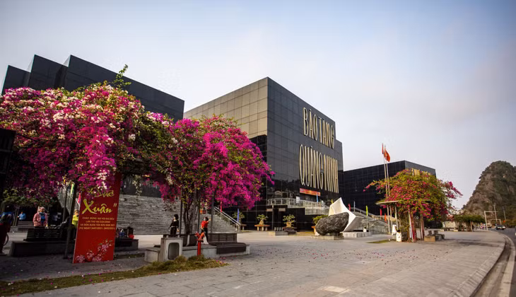 These flowers make the area around the provincil museum and library more poetic and charming.