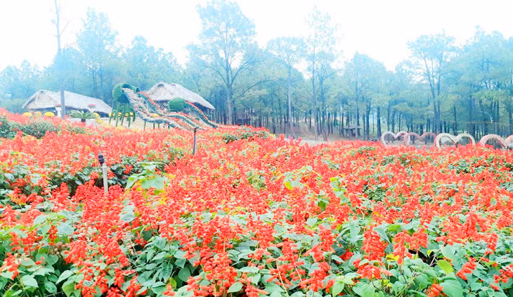 Located in the national road 18A connecting Hanoi with Ha Long, about 5 km from Uong Bi city’ Yen Tu heritage site, Yen Trung lake is about 100 hectares in size and surrounded by mountains and lush pine forests.
