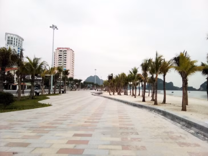 The pavement along the beach is 28m wide with shady trees.