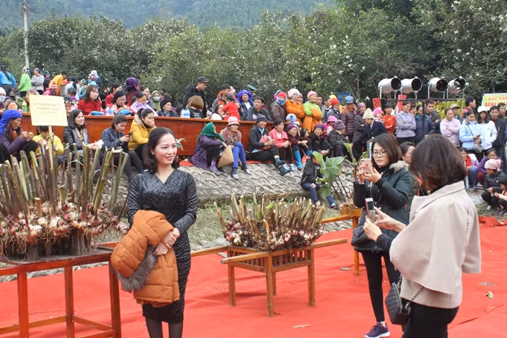 Tourist at the So Flower festival 2018 in Binh Lieu. 