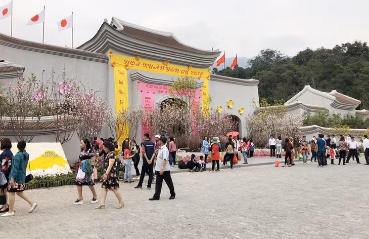 The Cherry Blossom and Yen Tu Yellow Apricot Flowers Festival 2019 will take place from March 9-17 in the city. 