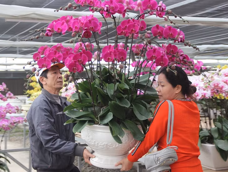 Garden owners are busy with delivering flowers to the customers