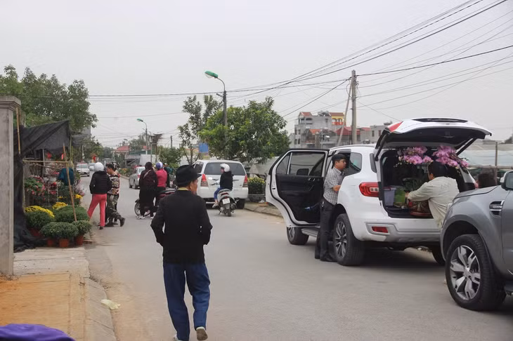 Customers flock to Dong Che flower village in Hoanh Bo ward, Ha Long City, to buy flowers