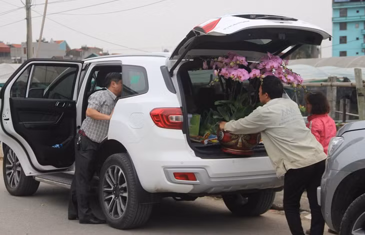 Many customers have chosen their farvorite flower pots