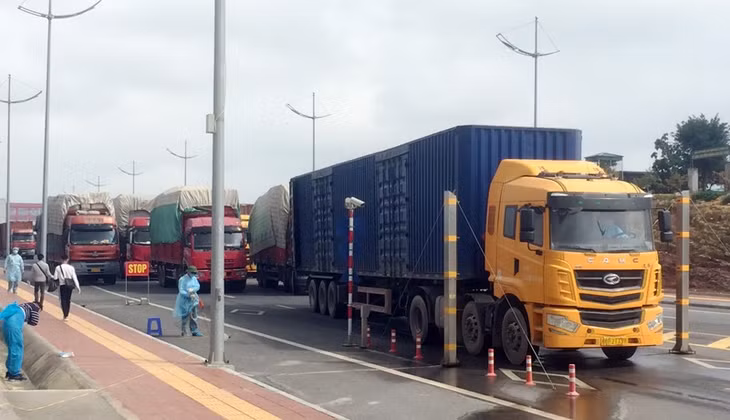 Import and export activities via Bac Luan Bridge No.2