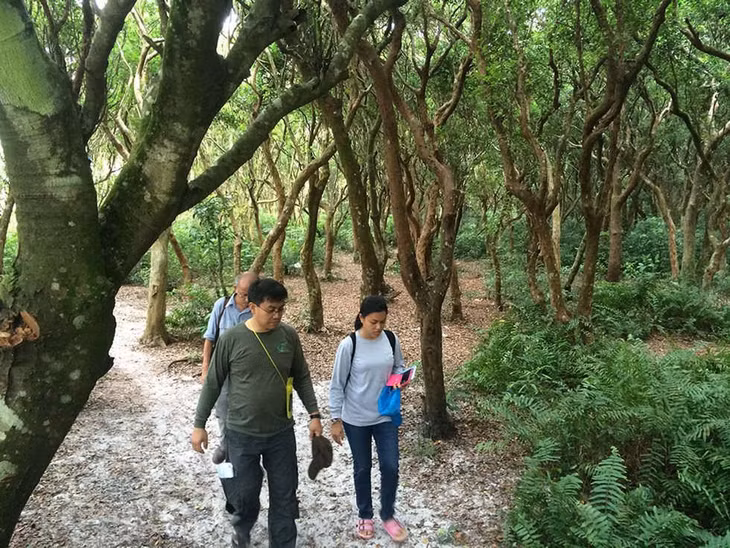 Tourists visit Bai Tu Long National Park