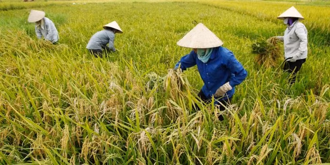 Prime Minister Nguyen Xuan Phuc also set a 3 percent growth target for the agriculture sector. Photo by Reuters/Kham
