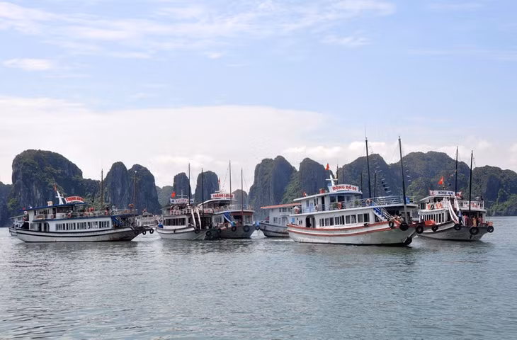 Tourist boat businesses signed commitment not to use single-use plastic products in tourism service activities in Ha Long Bay