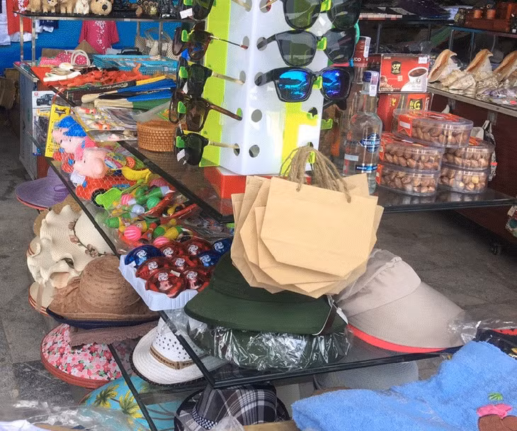 Paper bags, paper cups, easy-to classify waste bins are put at tourist sites in Ha Long Bay