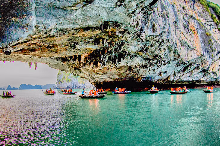 Tourists visited Halong Bay