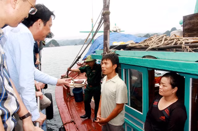 Quang Ninh Province’s Border Guard Command destroyed a large number of fishing equipment which have been banned due to their destructive effect on the marine ecosystem on March 31.