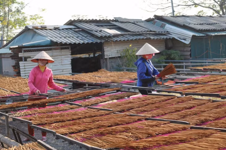 Residents in Quang Phu Cau commune of Ung Hoa district dry incense as they gear up for the Lunar New Year festival.