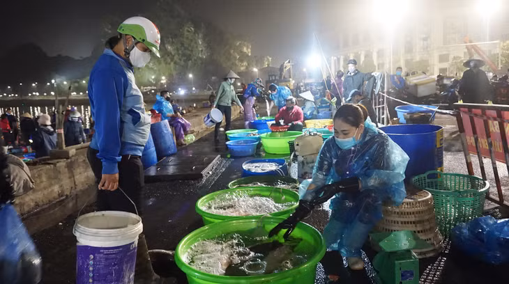 Abundant of seafood at Fish Market (Bach Dang Ward)