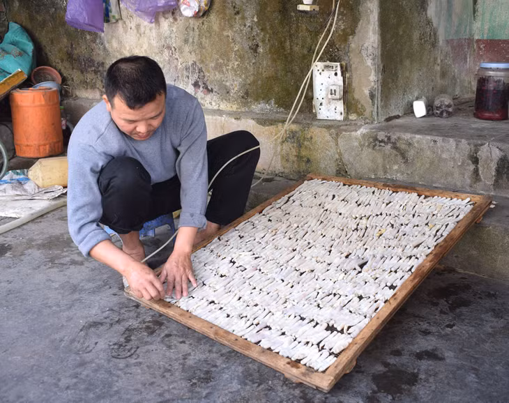 Dried earth worms - famous OCOP product of Hai Ha district