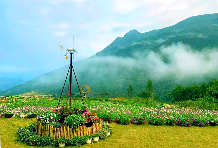 Splendid flower garden in the mist ... makes the landscape more romantic.
