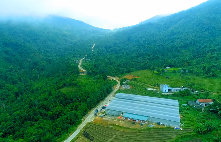 Amazingly beautiful flower garden alternates between the green of mountains and terraced fields