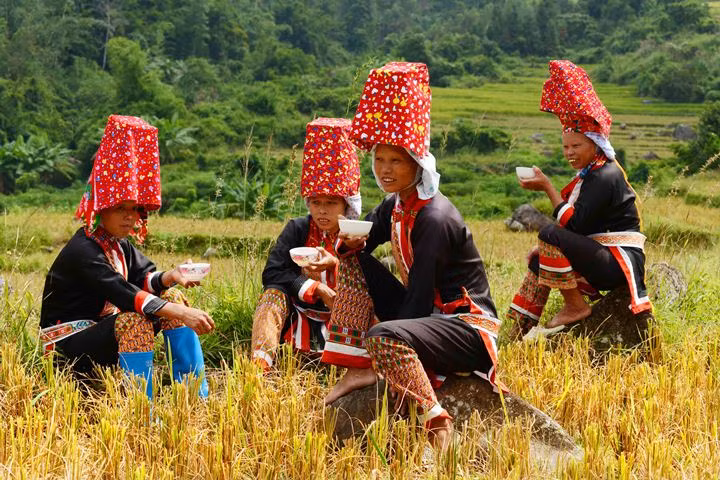 Break time at rice fields