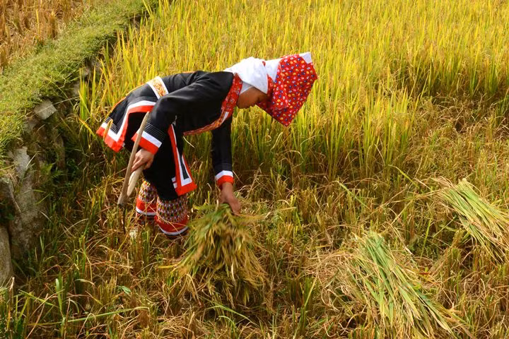 A Dao ethic girl