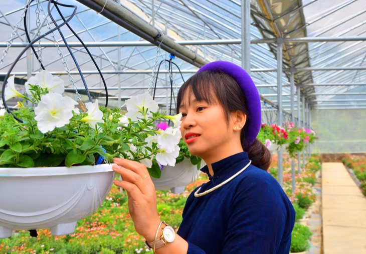 ...A multitude of winter flowers and exotic imported flowers