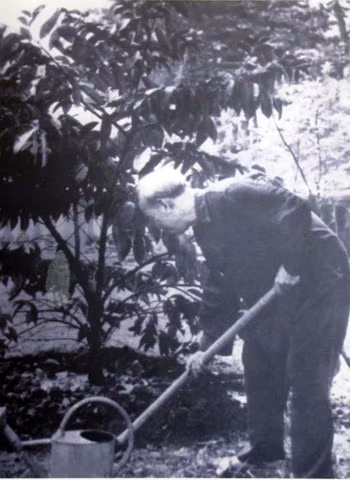 Uncle Ho grows and waters trees.
