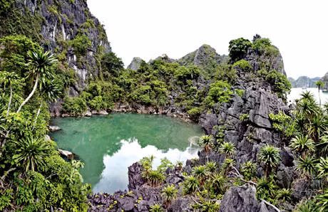 lagoons in the bay