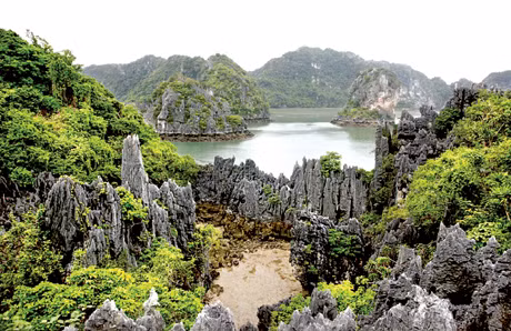  hong Rocks