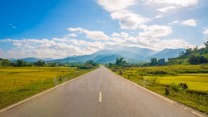 Some 110km from Ha Long City, it takes only two hours by motorbike to see the goden rice fields in Binh Lieu district, Quang Ninh province. (Source: VNA) 