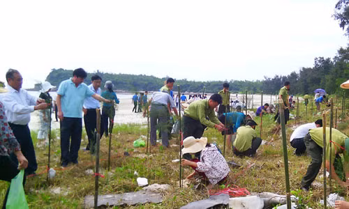 Young people in Quang Ninh province plant forest at the Bai Tu Long National Park. (Photo: HNMO)