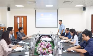 Pakistan seeks for investment opportunity in Quang Ninh